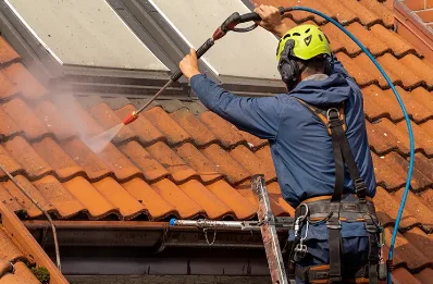 Démoussage et hydrofuge de toiture à Rivolet